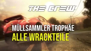 Müllsammler Wrackteile Fundorte
