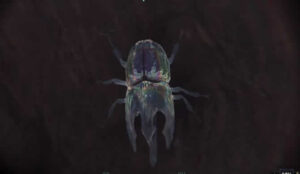 Monster Hunter World: Rex Regenbogen - Trophäen Erfolge Guide 4 MHW Regenbogen Trophie