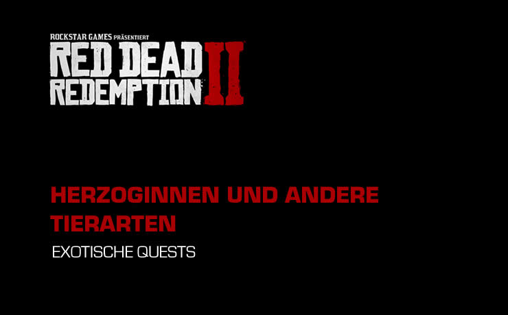 Exotische Objekte in Red Dead Redemption 2