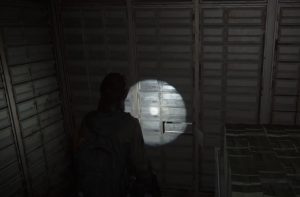 Last of Us 2 Ring Fundort