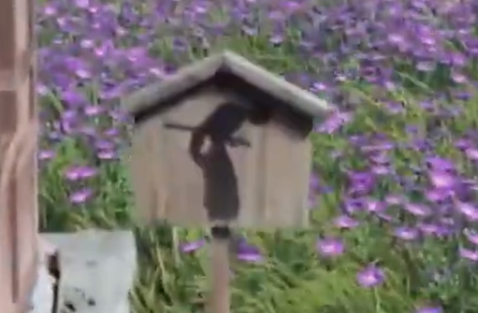 Tsushima versteckter Altar Schild