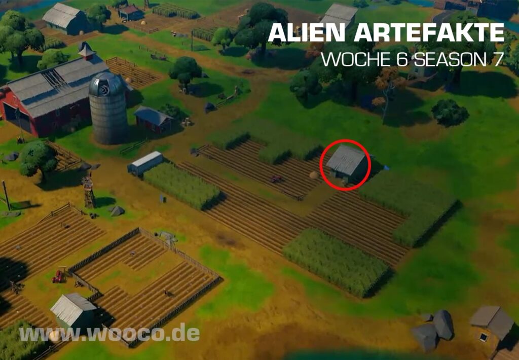 Artefakt Corny Complex Woche 6