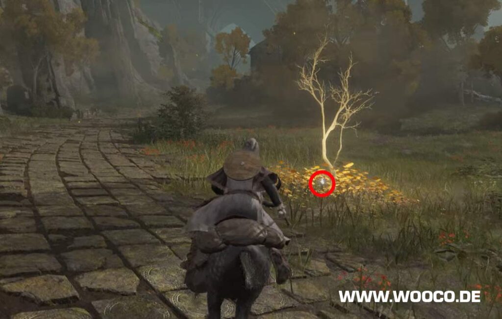 Elden Ring: Goldene Saat Fundorte - Anzahl der Flaschen erhöhen 2 Godene Saat Sturmhuegel #1