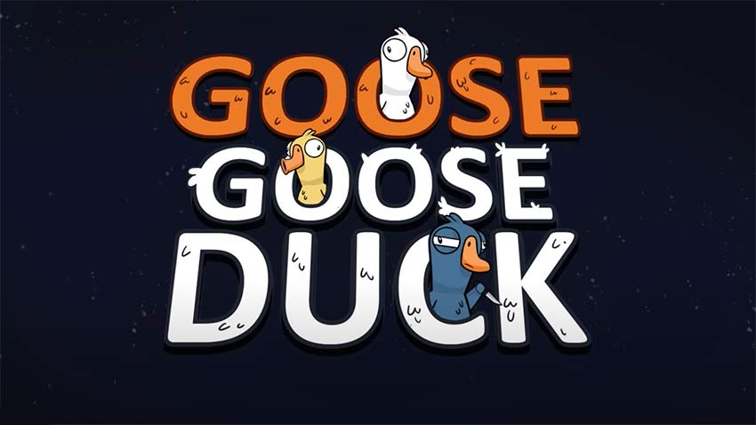 Goose Goose Duck Erfolge