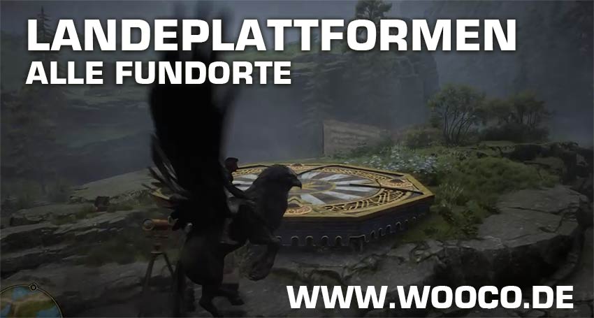 Hogwarts Legacy Landeplattformen 100 Prozent