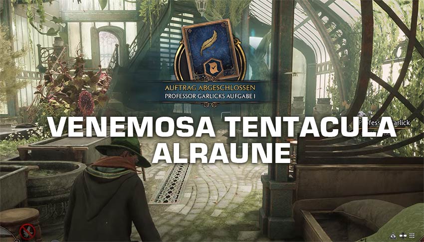 Venemosa Tentacula Fundort