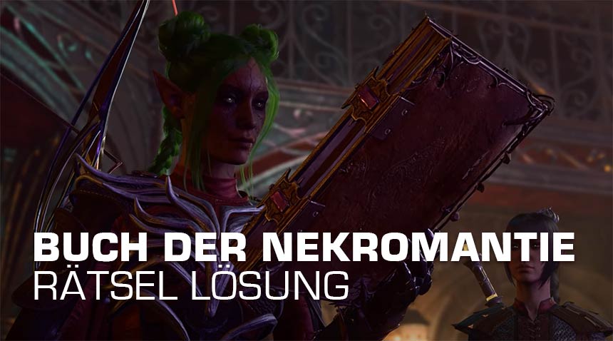 Buch der Nekromantie Seiten