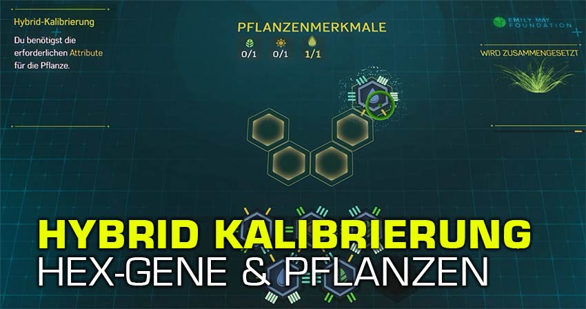 Hex-Gene Rätsel