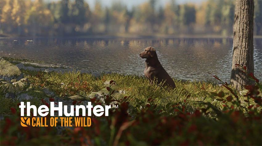 theHunter Call of the Wild Update 1.80