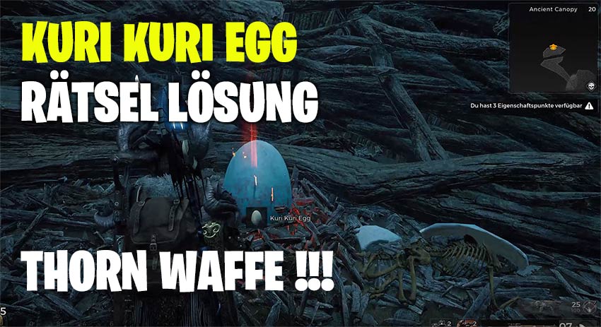 Kuri Kuri Egg Rätsel Lösung