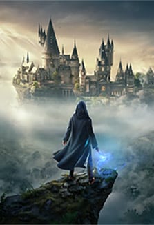Harry Potter Serie Hero