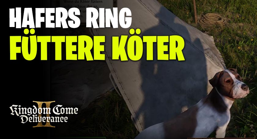 Füttere Köter in KCD2