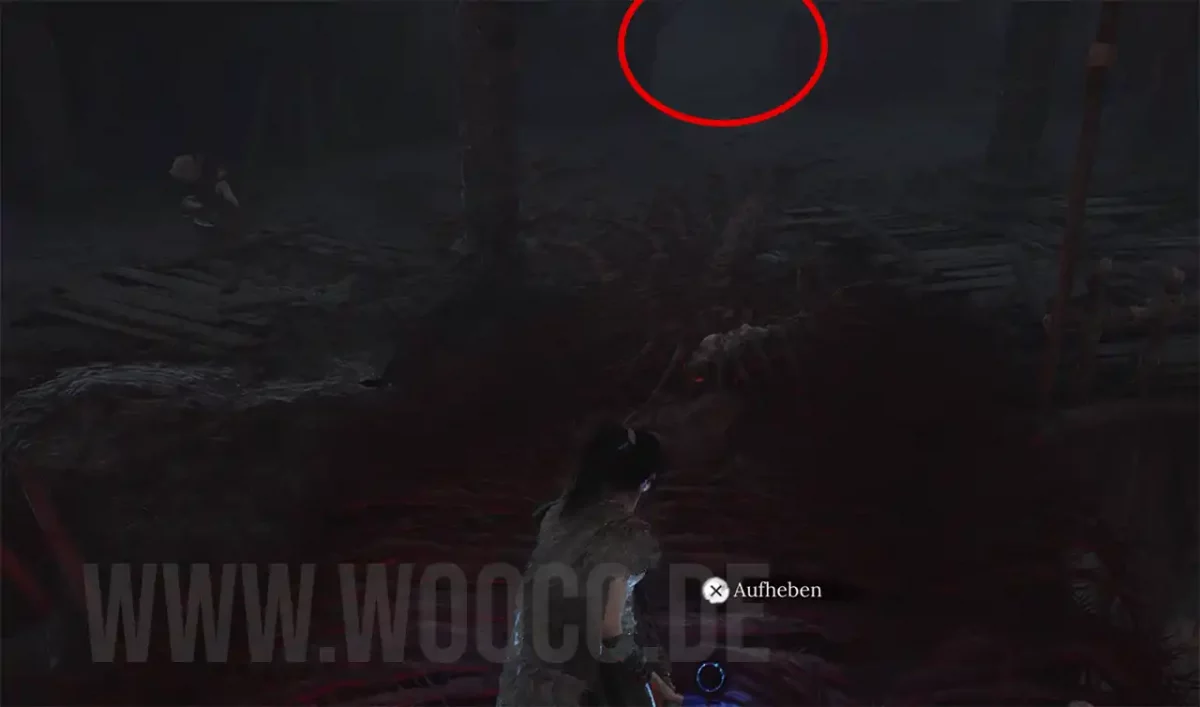Anhänger des Dracolichs Teil 1