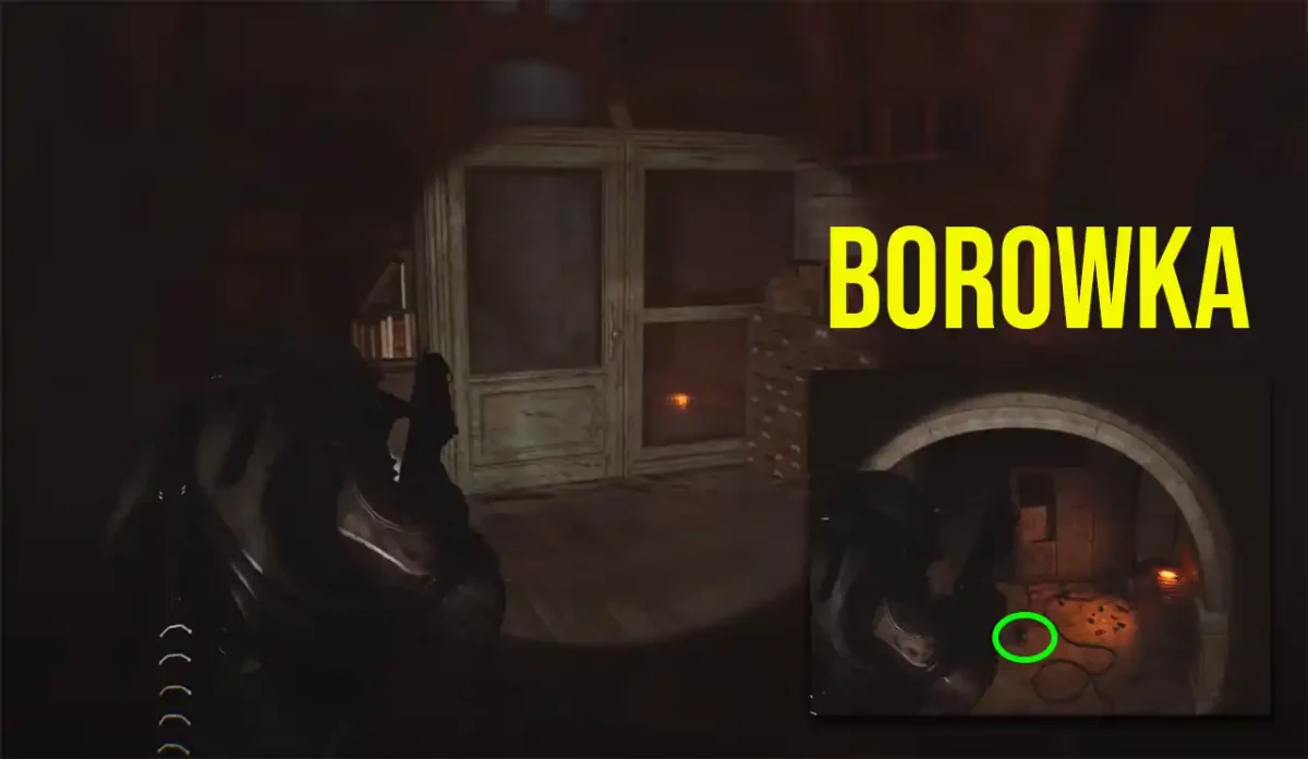 Borowka Katze