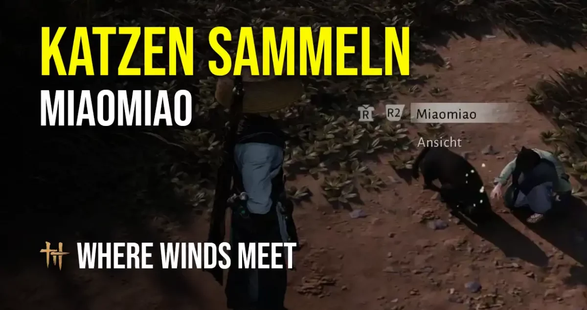 Die Katzen Sammeln Where Winds Meet